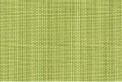 Sunbrella® 48023-0000 Spectrum Kiwi