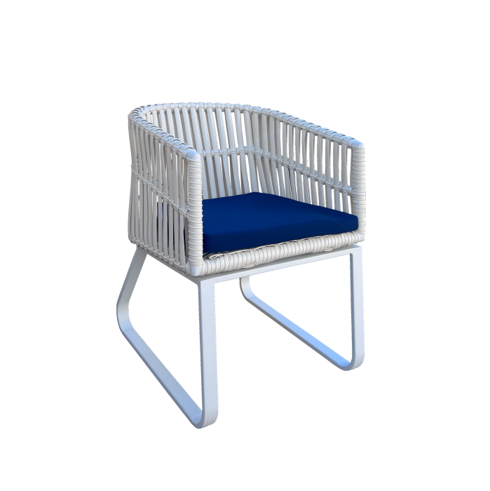 Apricot Dining Chair - QUICK SHIP - Image 1