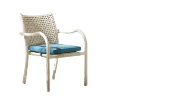 Fatsia Dining Chair with Arms - Image 1