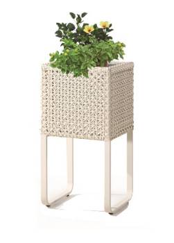 Polo Tall Square Flower Vase