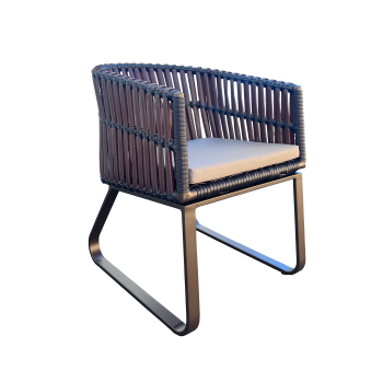 Apricot Dining Chair - QUICK SHIP - Image 2