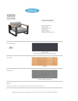 Aspen Club Chair - QUICK SHIP - Image 2